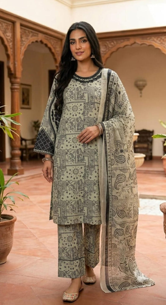 Mayanaz - Stitched 3Piece Squence Petch Embroidery Lawn Suit